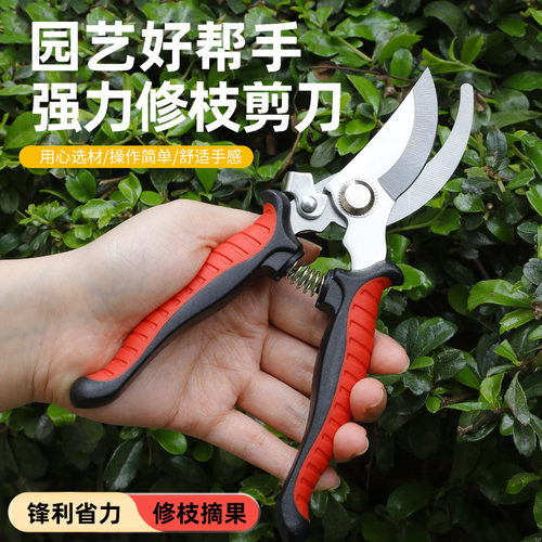 不锈钢锋利高硬度果树花枝园艺剪