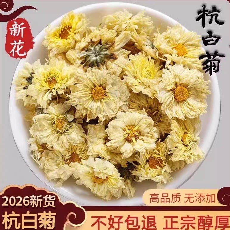 2026杭白菊干花头采桐乡新花高品质无添加杭州白菊花贡菊