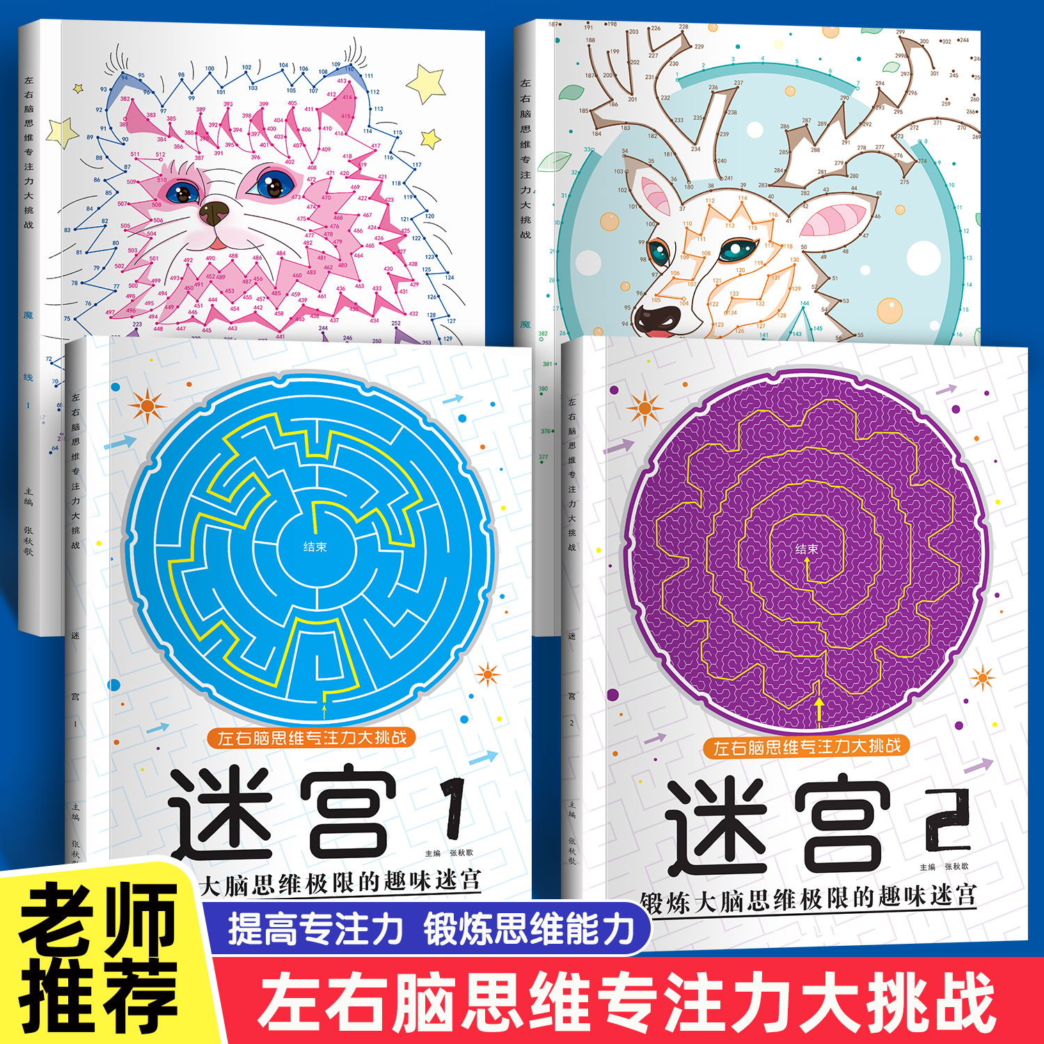 魔线迷宫启蒙左右脑思维专注力书