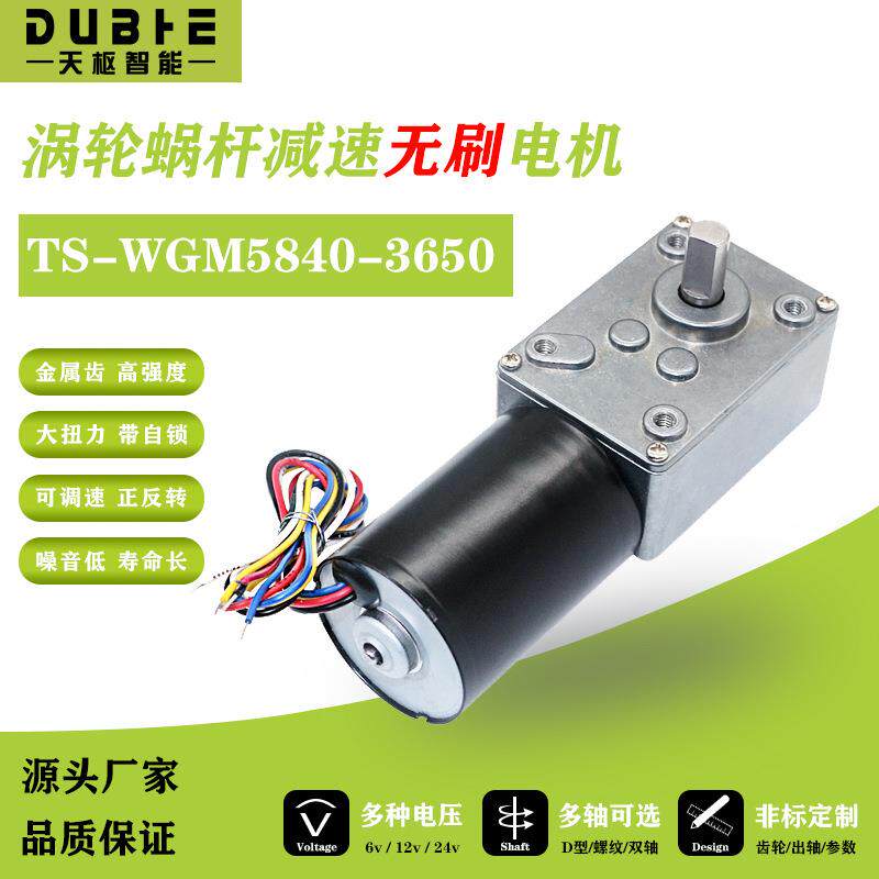 5840-3650无刷直流减速调速电机大扭矩低速马达12v24蜗轮蜗杆自锁