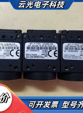 BFLY-PGE-12A2M-CS灰点工业相机，，成议价