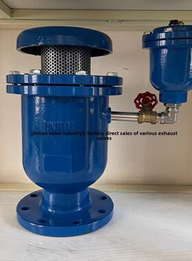 FGP4X-10/16Q双孔覆合式高速排气阀KP自动快速双球进排气阀DN200