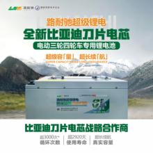 比亚迪磷酸铁锂刀片电芯 大容量 电动三轮车四轮车专用动力锂电池