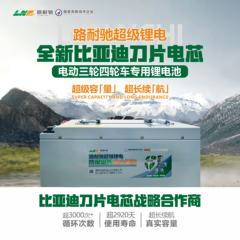 比亚迪磷酸铁锂刀片电芯 大容量 电动三轮车四轮车专用动力锂电池