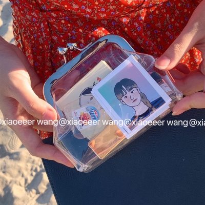 感零钱包手拿包收纳包口铁包便携夹子透明口红包口罩高级口金杂物