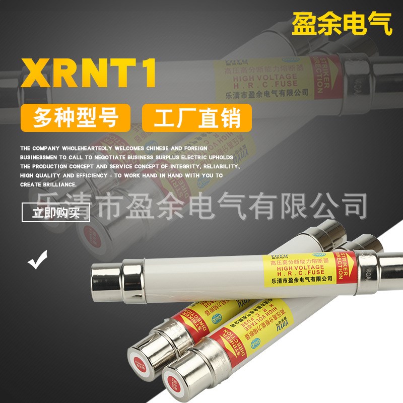 盈余高压限流熔断器熔断管保险管变压器XRNT1-10KV/SDLAJ-12熔丝