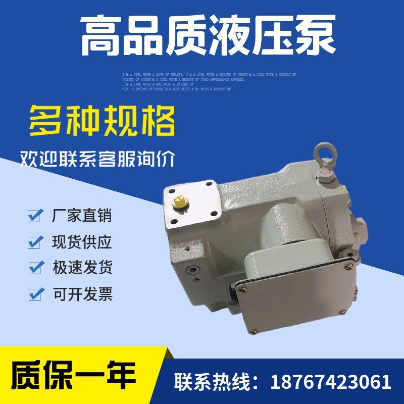 转子泵RP08A1-07X-3s0-T RP08A2-07X-30-T 液压泵 油泵,标准件/零部件/工业耗材,液压泵,淘宝优惠券,粉丝福利购,淘宝优惠卷