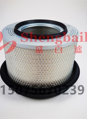 10948304 AF977 C33922 E276L A0010948304  00S10948304空气滤芯
