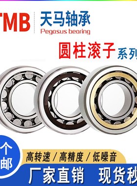 TMB天马圆柱滚子轴承NU NJ2228 2230 2232 2234 2236 2238 2240EM
