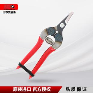 日本进口爱丽斯采摘剪ARS310弯头稀果剪花剪刀芽剪蔬菜水果采摘剪