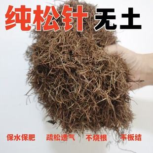 無(wú)土純松針天然腐熟養(yǎng)花通用專用養(yǎng)花腐殖土蘭花君子蘭專用腐葉土