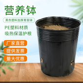 营养钵育苗杯营养袋营养杯育苗袋塑料育苗盆育苗盘花盆一次性加厚
