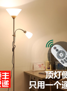 站立式灯ledi床头落地灯 客厅卧室书房创意温馨遥控可调光落地台