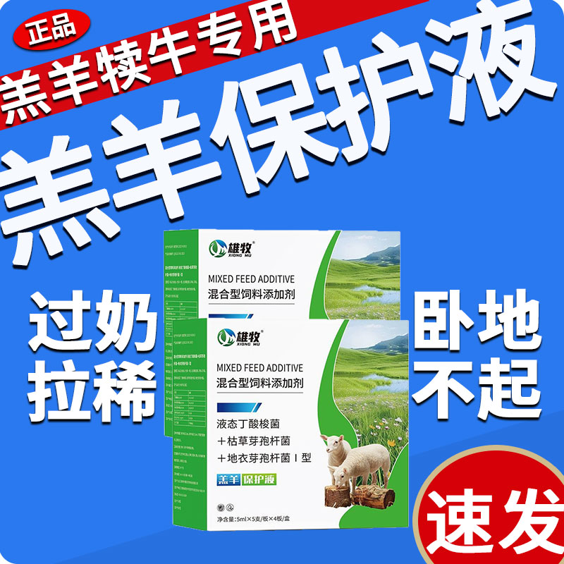 雄牧羔羊保护活力液小羊羔犊牛卧地不起强效止红黄白痢专用口服液