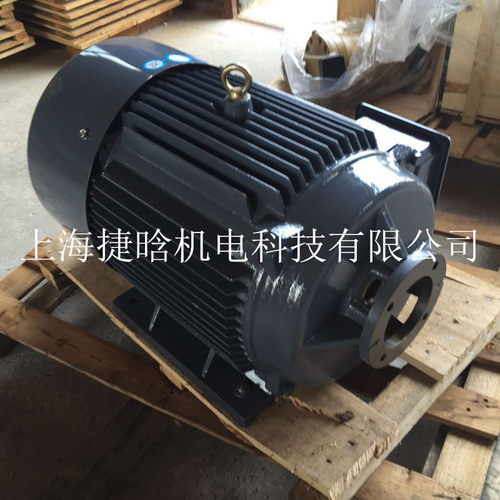 YYB160L-4油泵电机 15KW三相电动机配40SCY14-1D启东高压柱塞泵