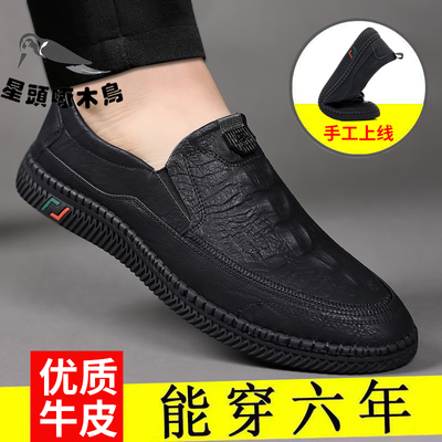 100%全牛皮星头啄木鸟男鞋新款春夏季2024男士真皮休闲皮鞋驾车鞋
