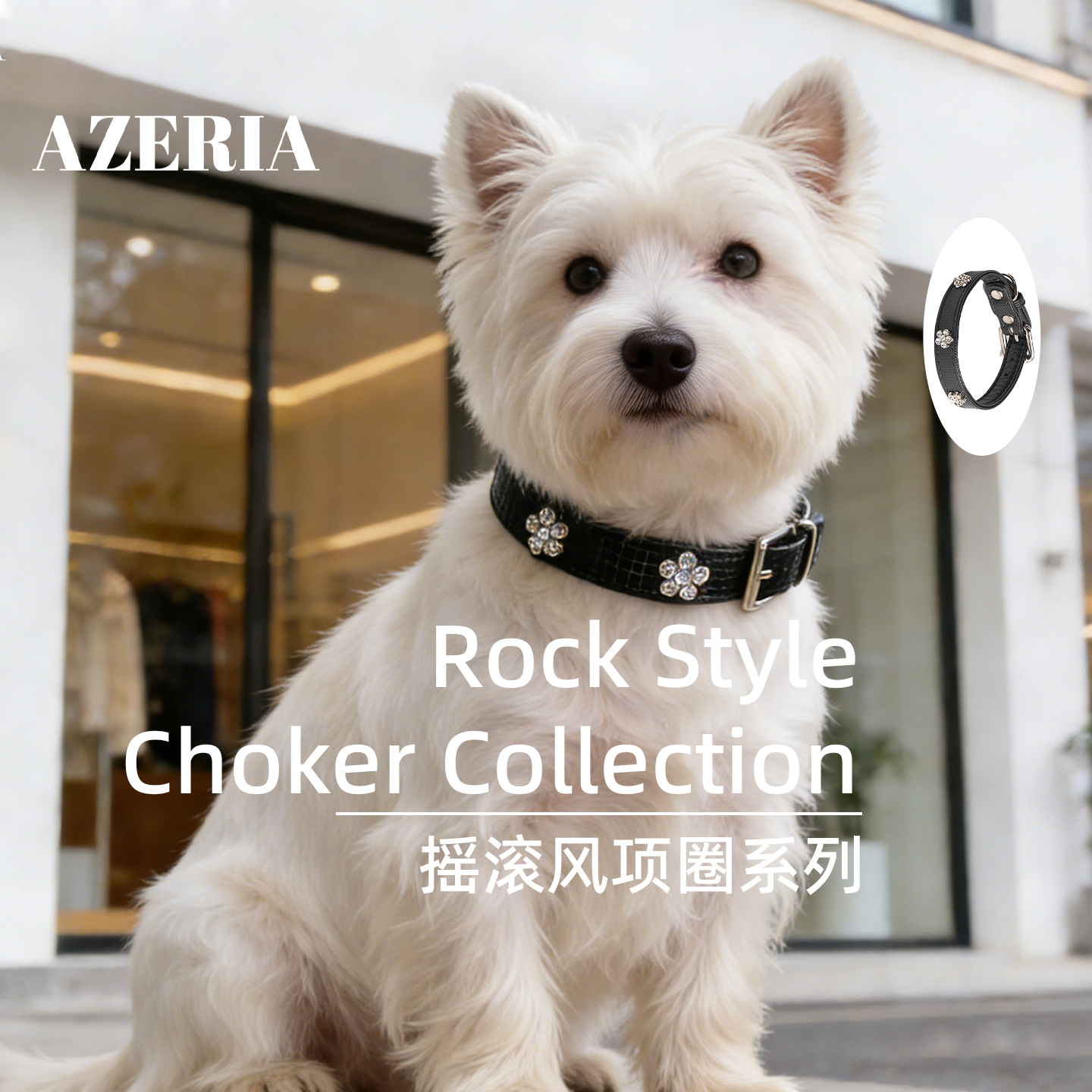 AZERIA宠物项圈防滑弹力皮革梅花镶钻曜石黑小型犬泰迪比熊犬颈圈,宠物/宠物食品及用品,项圈/肩带,淘宝优惠券,粉丝福利购,淘宝优惠卷