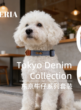 AZERIA宠物狗狗项圈牵引绳套装蓝色徽标装饰复古街头风防爆冲脖圈