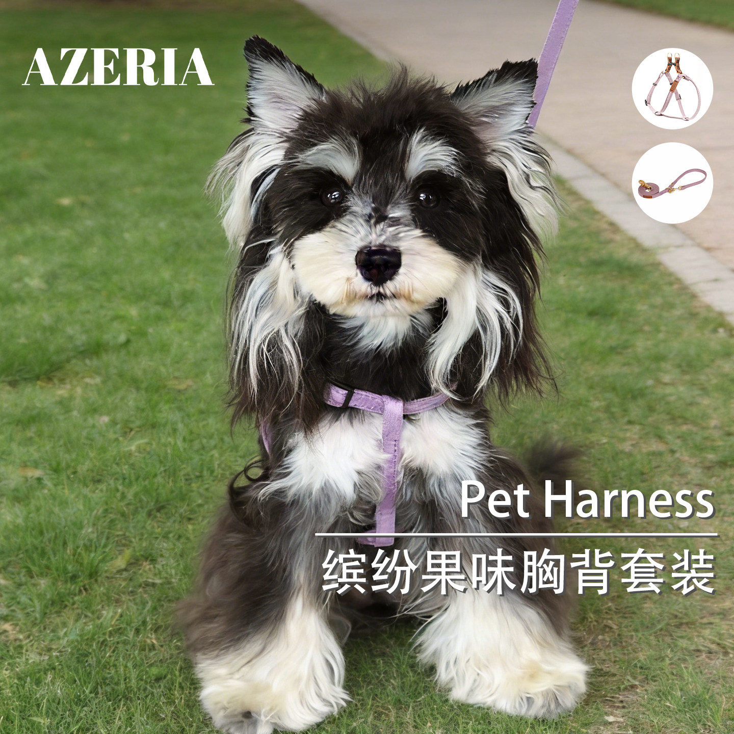 AZERIA宠物狗狗猫咪通用调节牵引一体工字葡萄紫麂皮绒胸背带套装