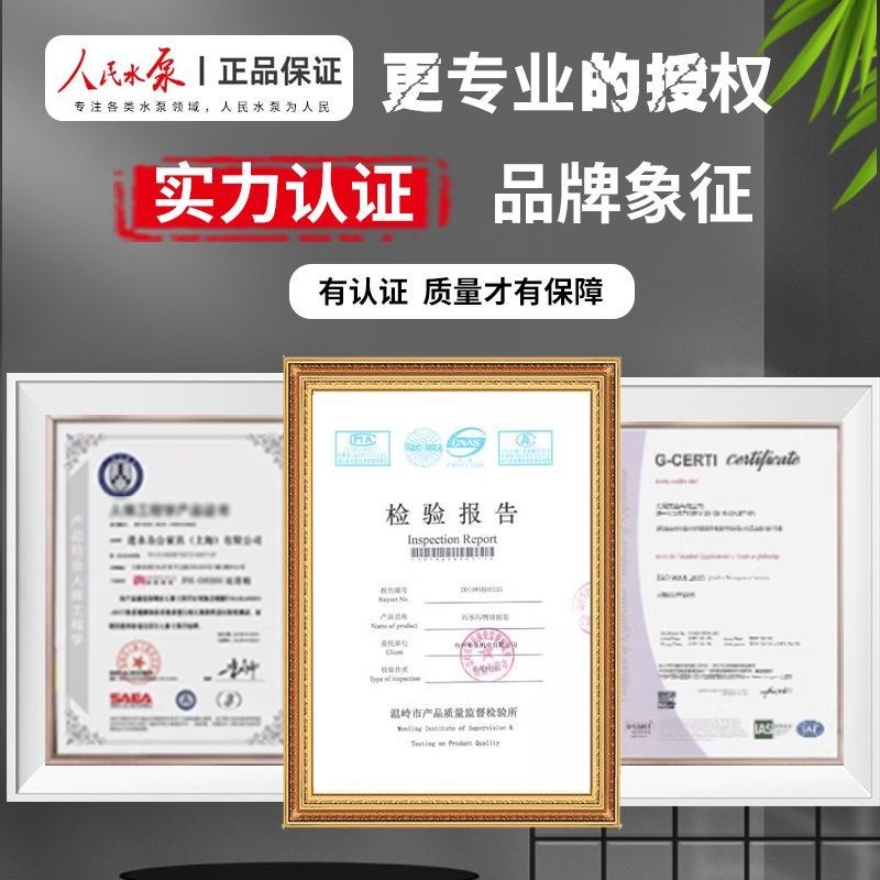 热销人民国d标法兰纯铜污水泵380v三相无堵塞潜水排污泵220v家用