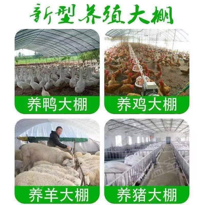 热销蔬菜大d棚温室大棚骨架保温钢管养殖棚养鸡棚羊棚牛棚养猪大
