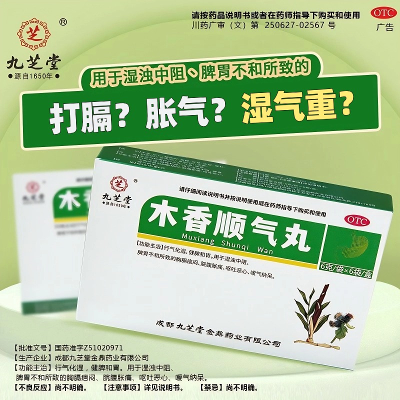 九芝堂木香顺气丸中成药调理脾胃虚弱健脾祛湿湿气重腹胀肝火旺盛