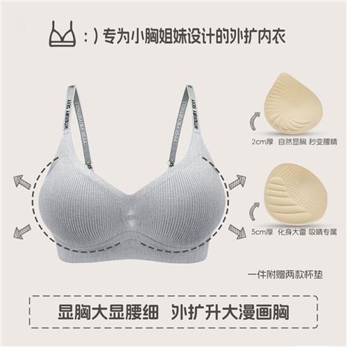 保暖搭子 2.0外扩内衣女聚拢小胸显大软支撑日系性感漫画胸文胸罩