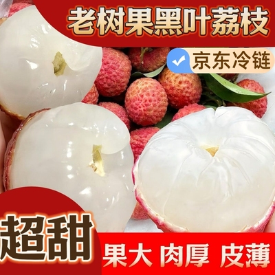 荔枝新鲜现摘现发广东岭南桂味当季水果5斤爆甜多汁老树大果10斤