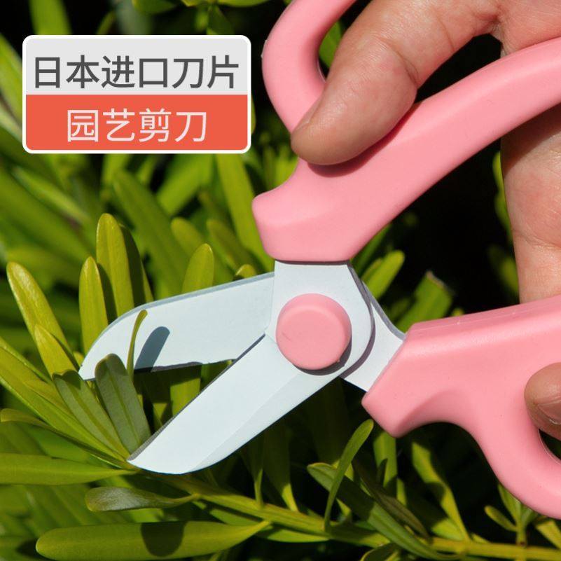 园艺剪刀修枝剪树枝剪家用花剪果树修剪树枝神器花艺剪子手工剪刀