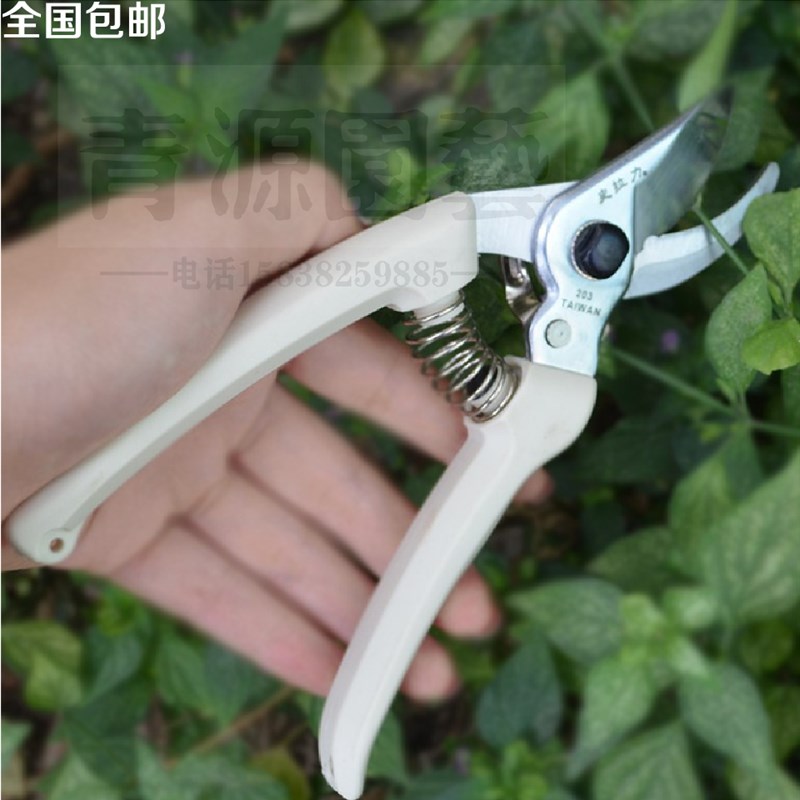 史拉力66-e203修枝剪 进口园艺不锈钢修剪粗树枝花卉枝条剪刀