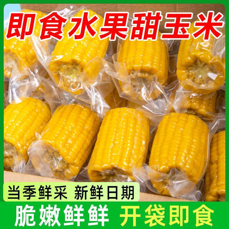 水果甜脆玉米段新鲜真空包装学生党免煮早餐代餐