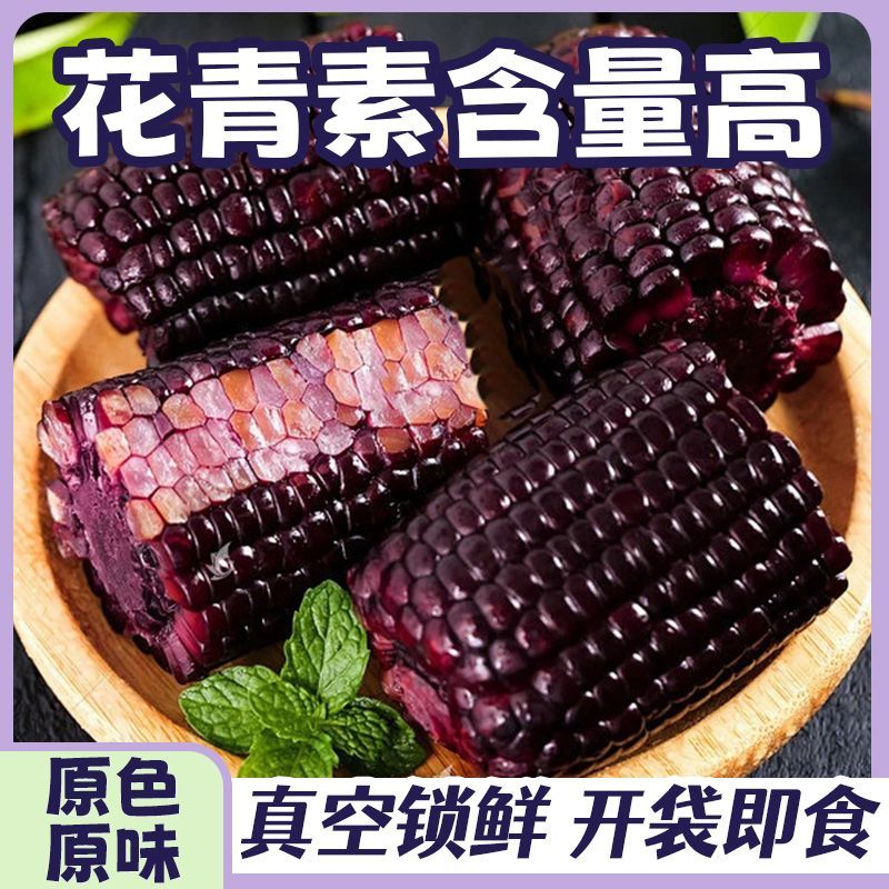 产地当季甜脆黑玉米真空包装开袋即食低脂代餐粗粮云南高原批发