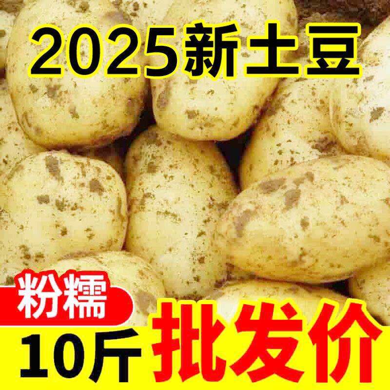 恩施新鲜农家黄心土豆马铃薯洋芋
