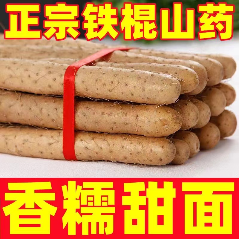 正宗铁棍山药非河南焦作温县铁杆淮山怀山药新鲜5斤包邮整箱