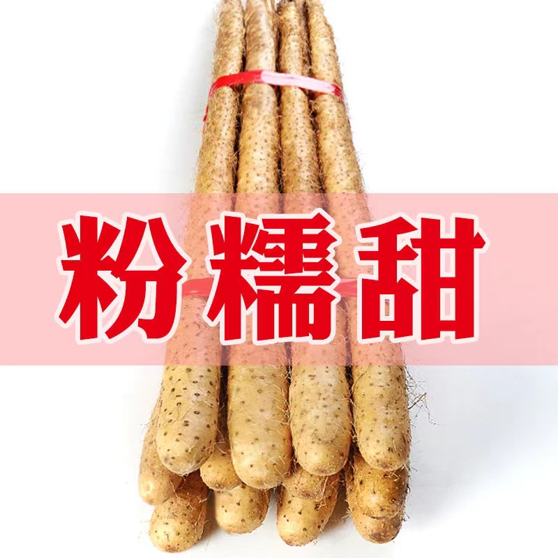 新鲜山药5斤装 正宗铁棍山药河南焦作垆土怀山药铁杆淮山药包邮