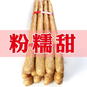 新鲜山药5斤装正宗铁棍