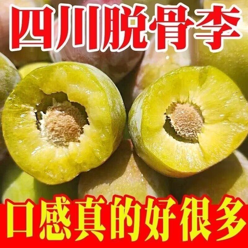 正宗四川五月脆红李脱骨李子应季