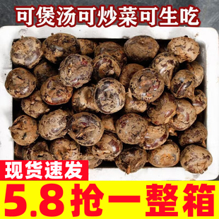 正宗广西荔浦新鲜马蹄5斤荸荠小果当季地栗地梨饽荠水果蔬菜包邮