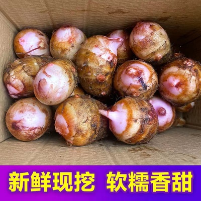 5斤红芽芋头金华现挖粉糯