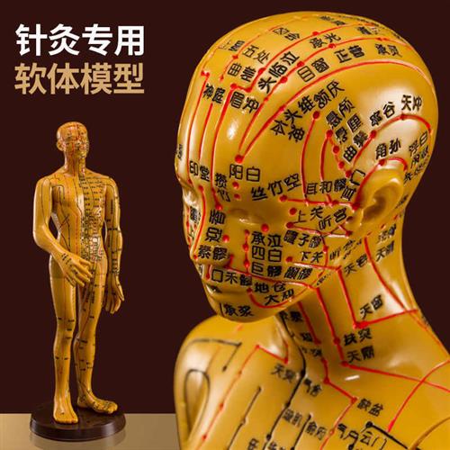 全身人体针灸模型模特图练习小皮沙盘可扎针十二经络穴位小铜人