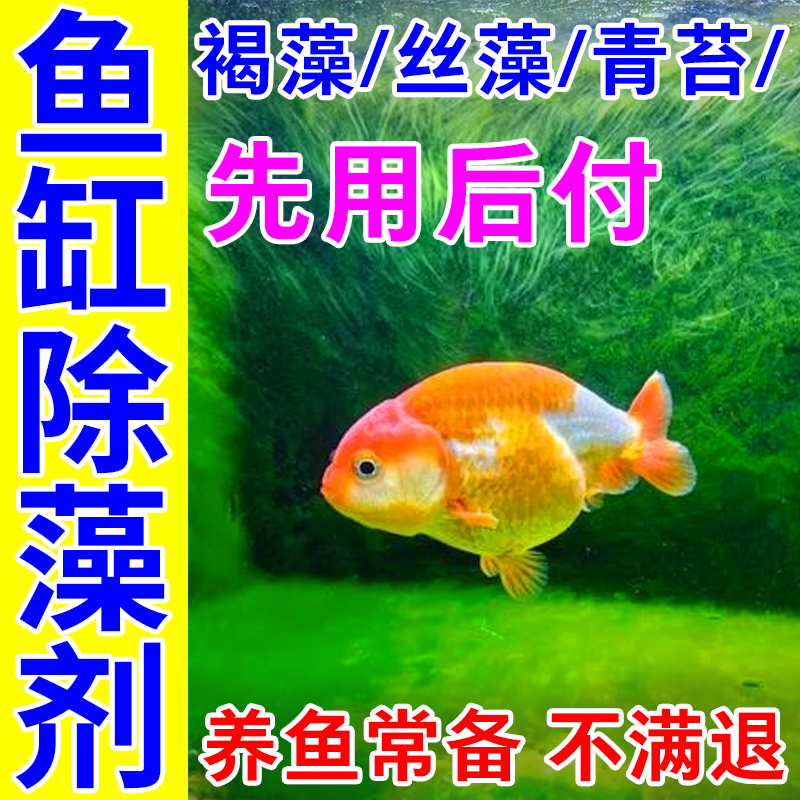 【一秒除藻】安全不傷魚