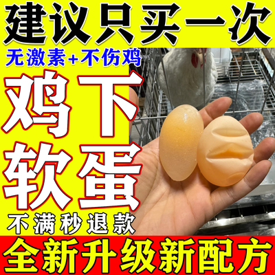 母鸡下软壳蛋畸形蛋破壳沙壳专用