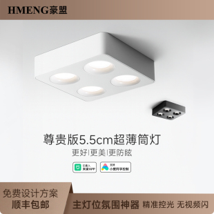 全光谱明装筒灯超薄智能四头斗胆灯客厅卧室无主灯防眩射灯高显色