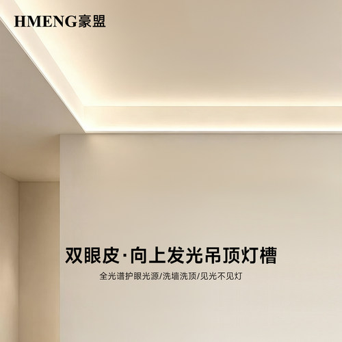 嵌入式双眼皮线灯吊顶线条led灯