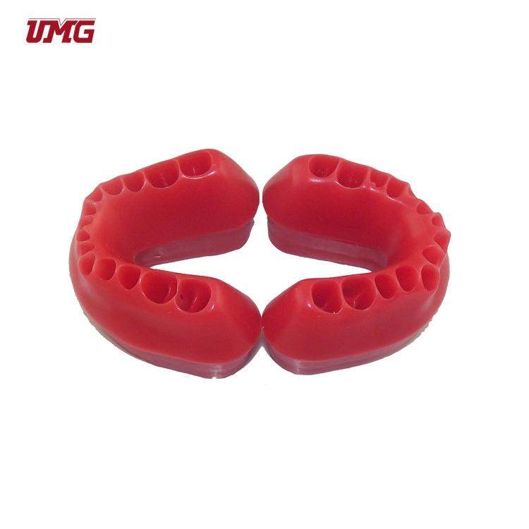 UM-S2A牙龈模型可替换（UM-S2B） 没有牙齿蜡咬合边缘模型