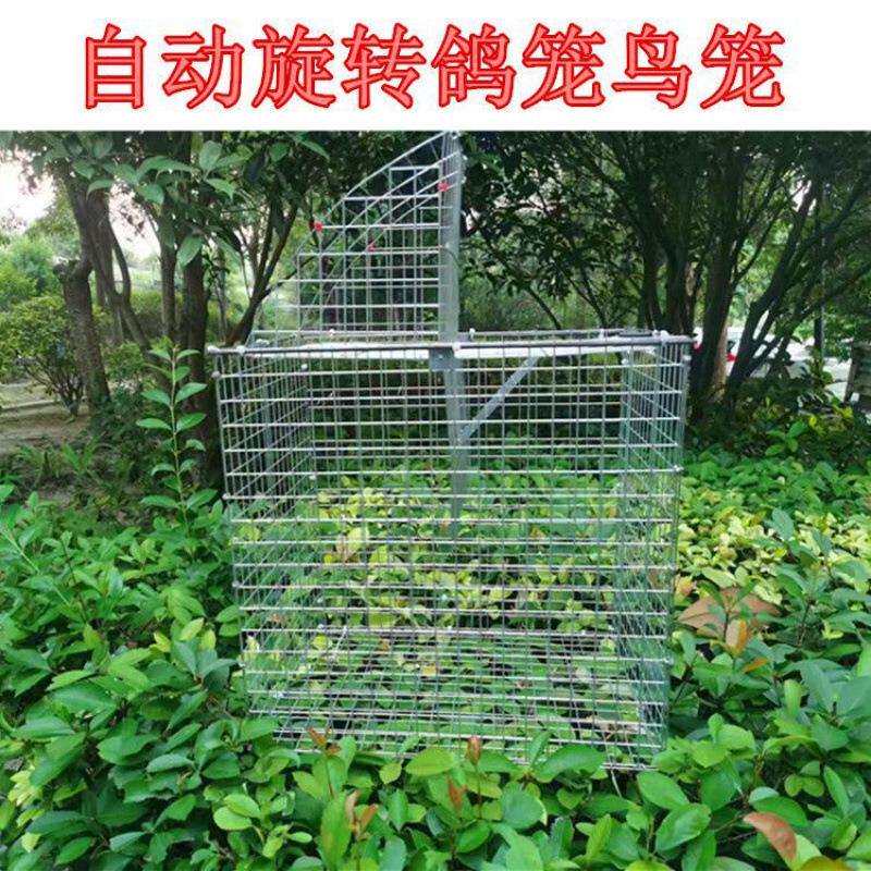 笼家用鸽笼新款训放笼旋转笼撞门训折叠鸽子笼金属其它栋细
