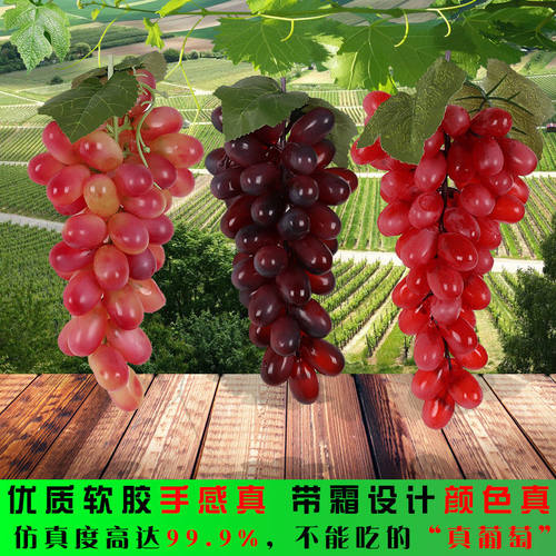 仿真葡萄串室内装饰摆件植物 水果模型道具仿真塑料PVC带霜葡萄