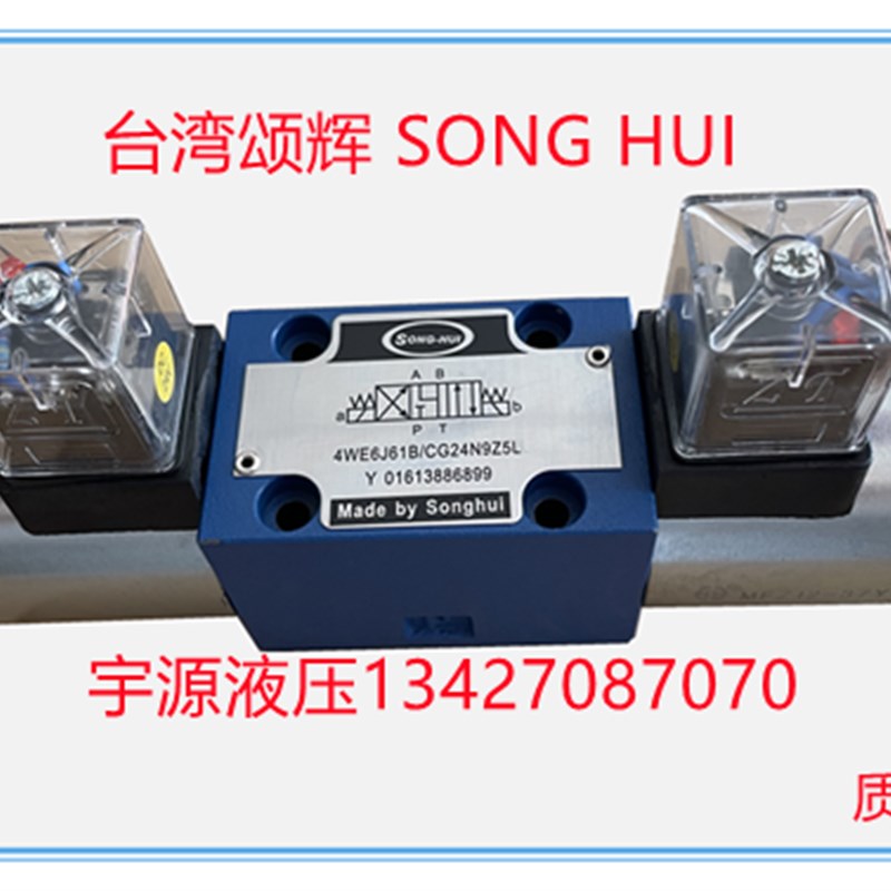 颂辉4WE6E 6J 6G 6H 6D 6F 6M CG24N9Z5L液压电磁换向阀CW2Y20N9Z