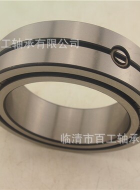 满装圆柱滚子轴承SL04 NNF 50 1 0 1 2 3 4 5 6 7 8 9 PP ADA-2LS