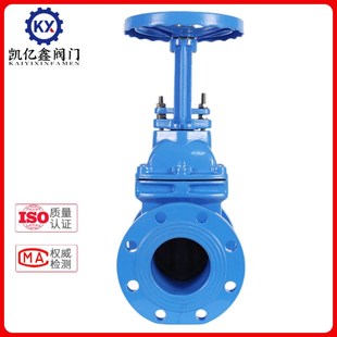 明杆软密封闸阀Z41X-16弹性座封泵房自来水开关法兰消防阀门DN150